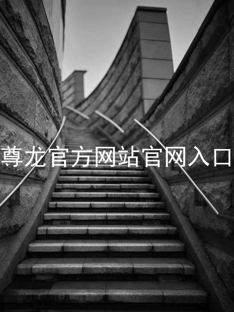 尊龙官方网站官网入口