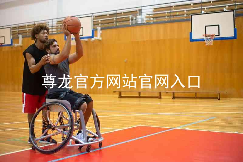 尊龙官方网站官网入口